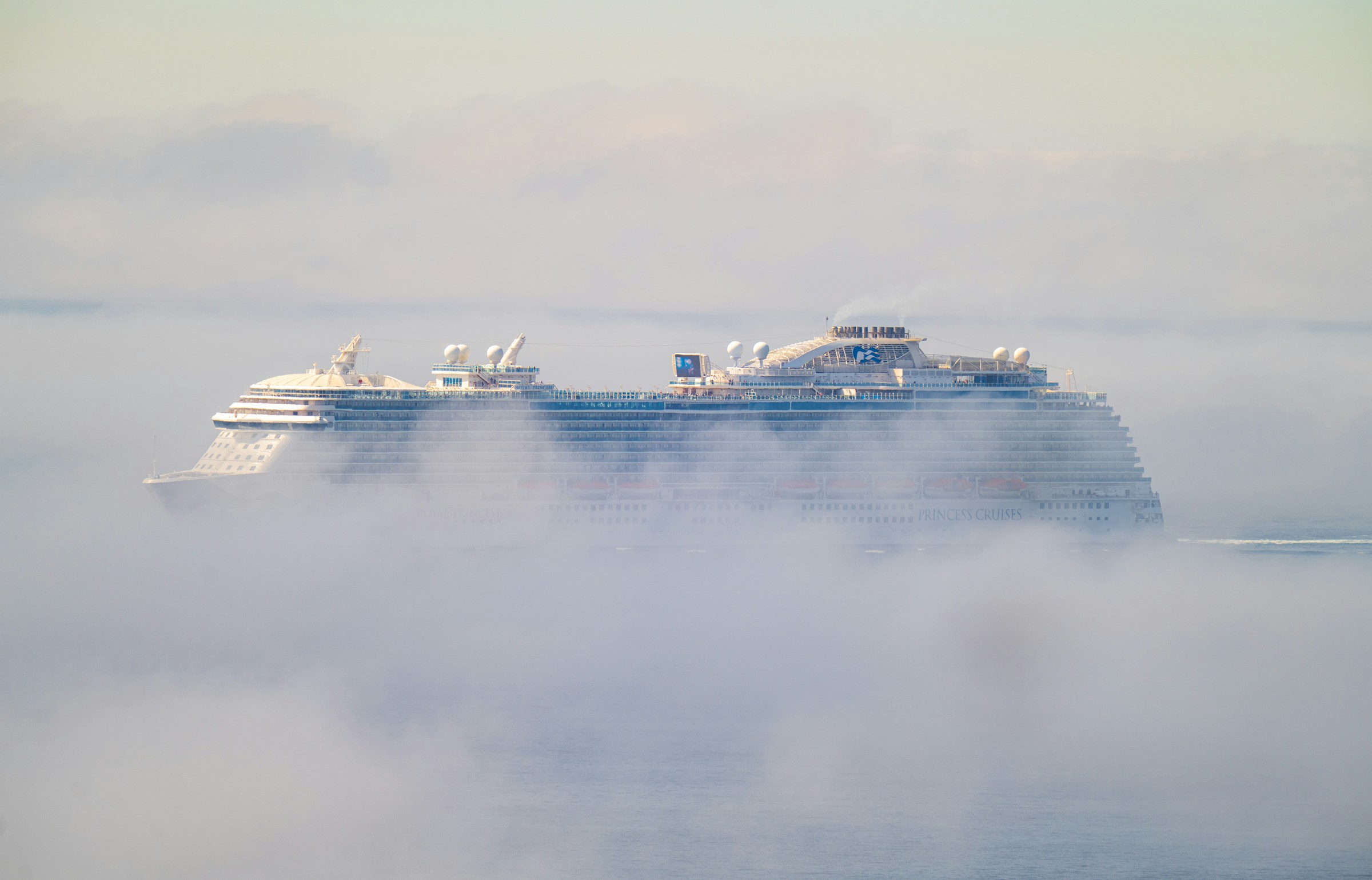 A real cruise ship arriving through the morning mist off Cabo San Lucas